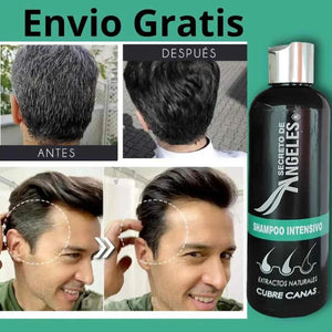 SHAMPOO CUBRE CANAS PRO